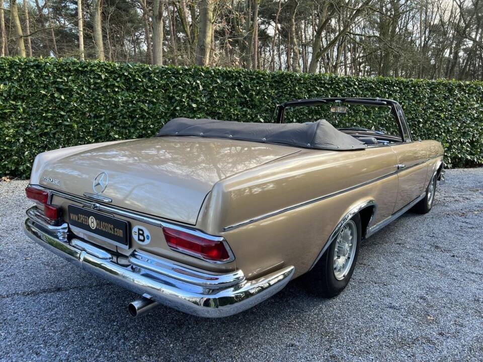 Image 6/22 of Mercedes-Benz 220 SE b (1963)