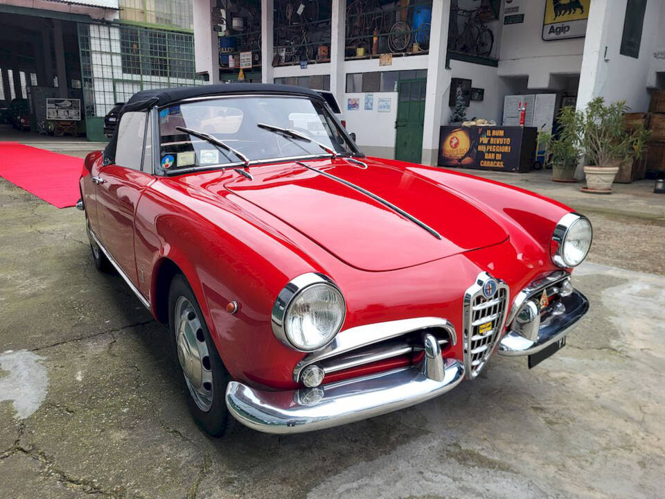 Image 53/65 of Alfa Romeo Giulietta Spider (1962)