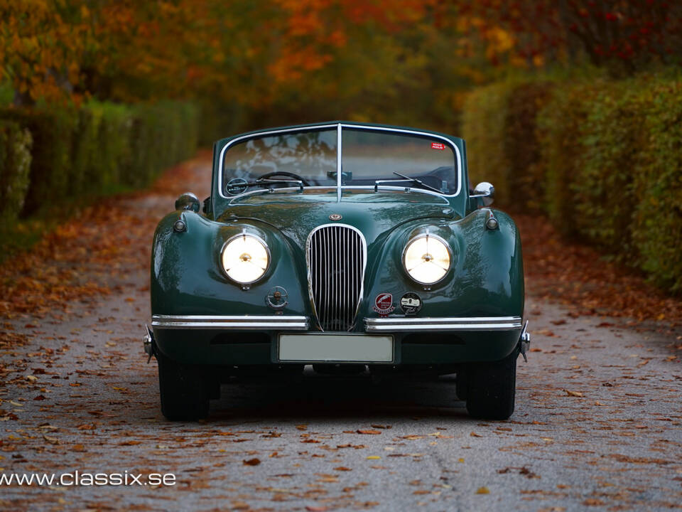 Image 12/23 de Jaguar XK 120 DHC (1954)