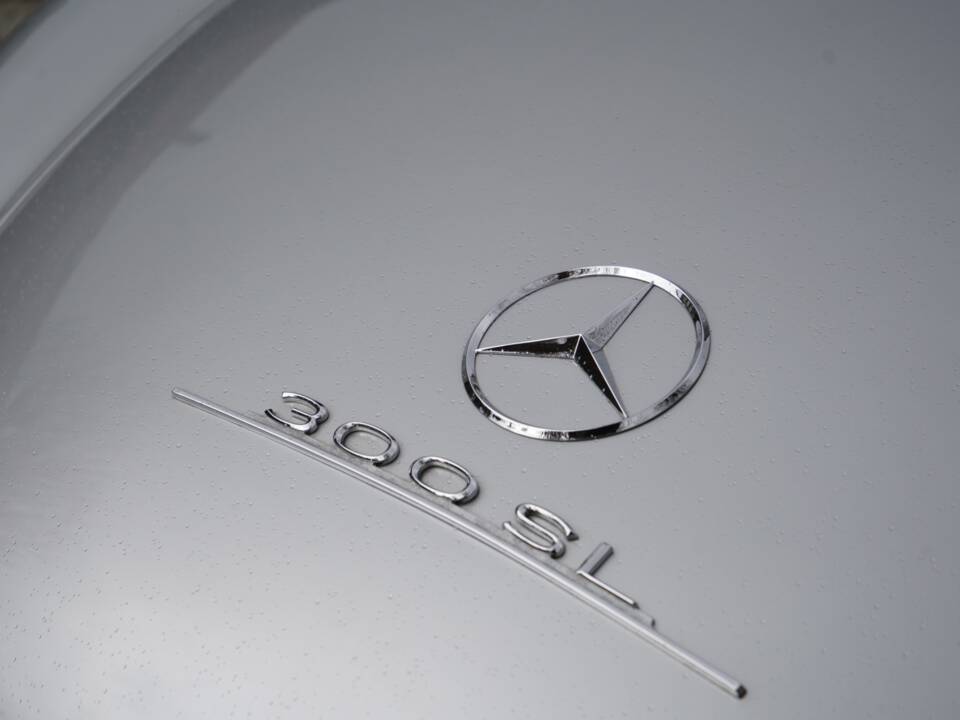 Image 10/37 of Mercedes-Benz 300 SL Roadster (1958)