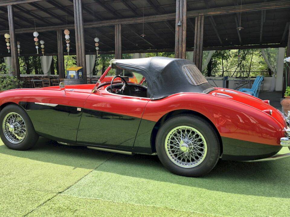 Bild 62/62 von Austin-Healey 100&#x2F;4 (BN1) (1954)