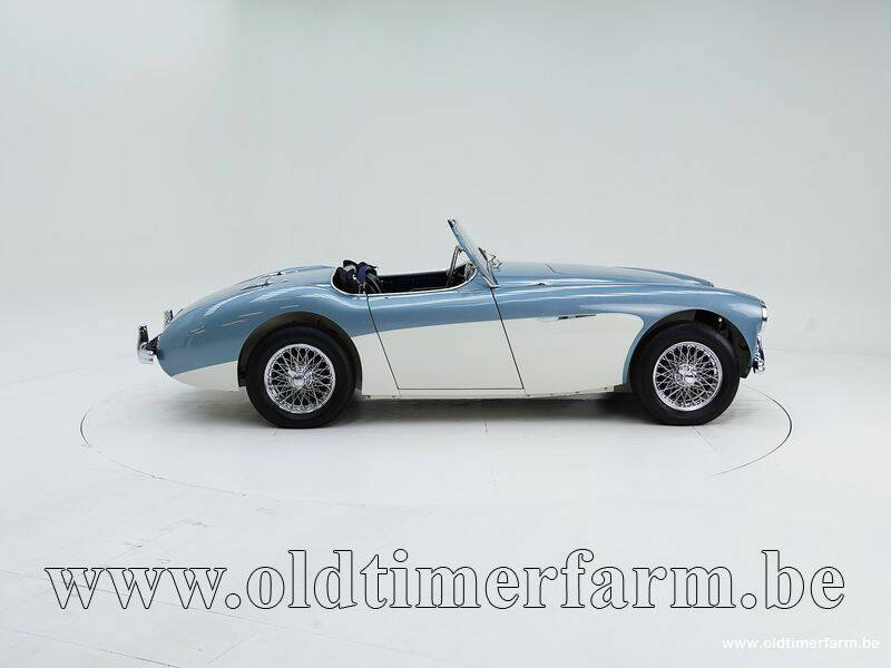 Bild 6/15 von Austin-Healey 100&#x2F;4 (BN1) (1954)