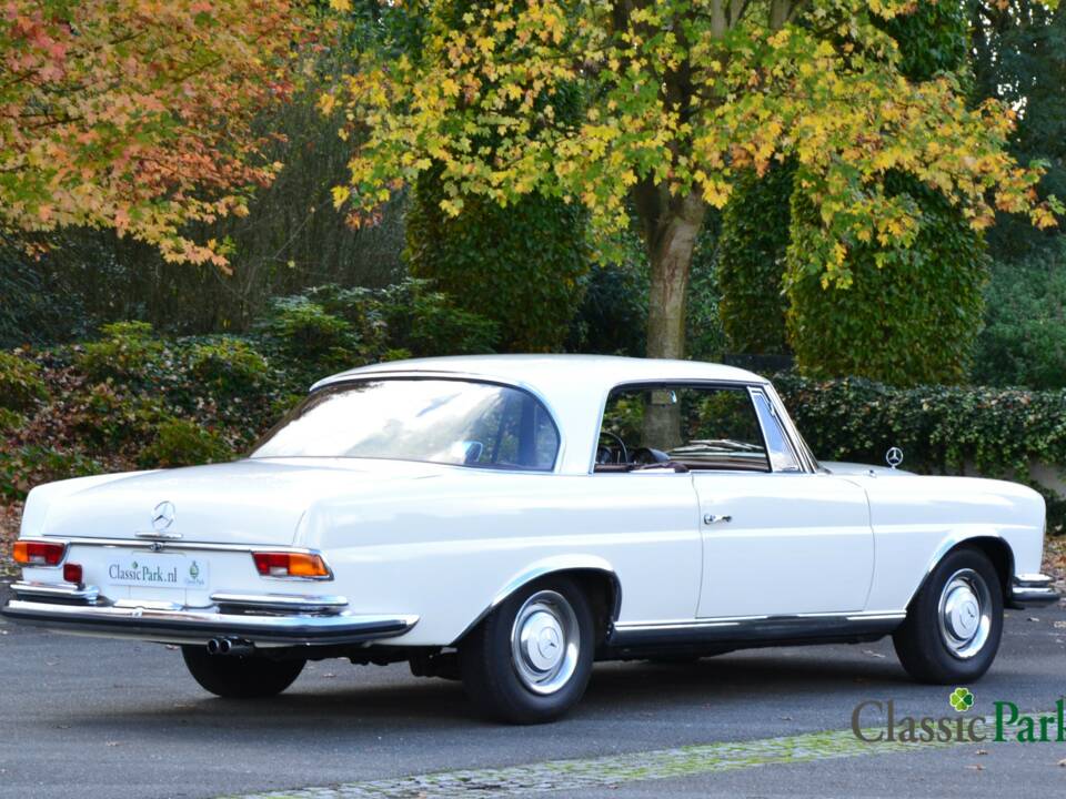 Image 5/50 of Mercedes-Benz 250 SE (1966)