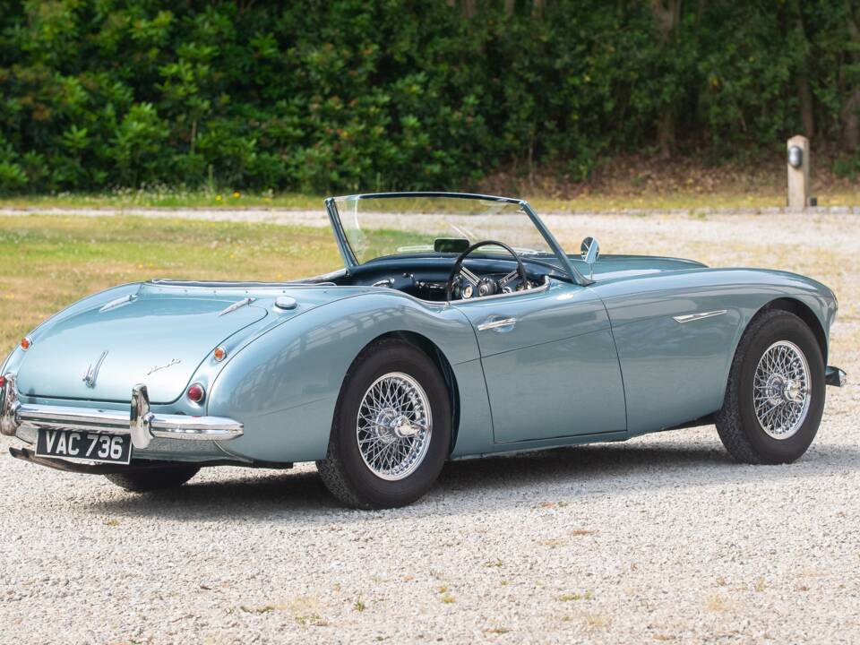 Bild 4/50 von Austin-Healey 100/6 (BN4) (1956)