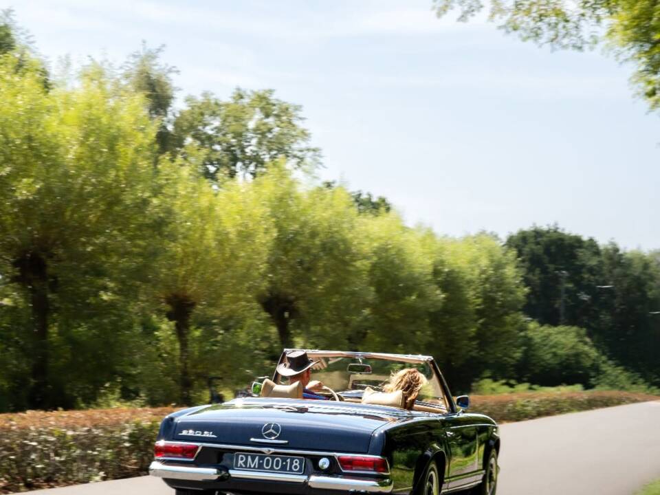 Image 28/28 of Mercedes-Benz 230 SL (1965)