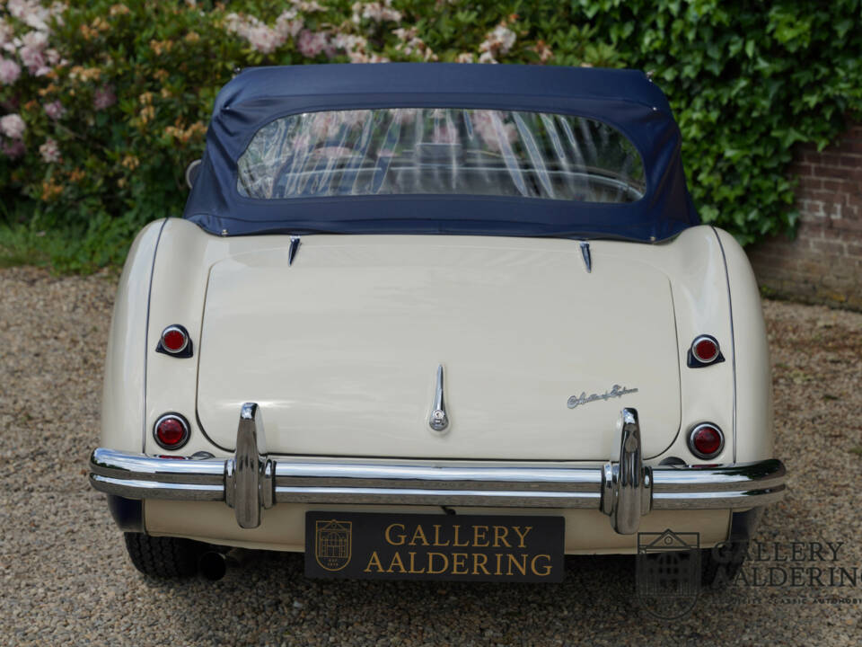 Imagen 8/50 de Austin-Healey 100&#x2F;4 (BN1) (1954)