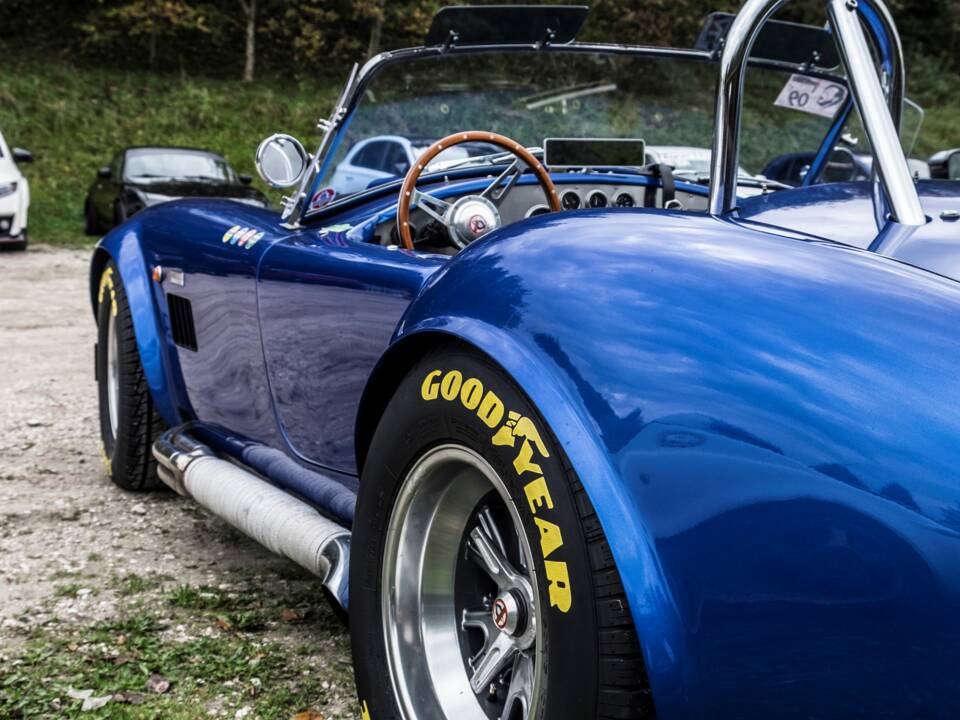 Bild 1/11 von Unique Motorcars 289 FIA Cobra Replica (1989)