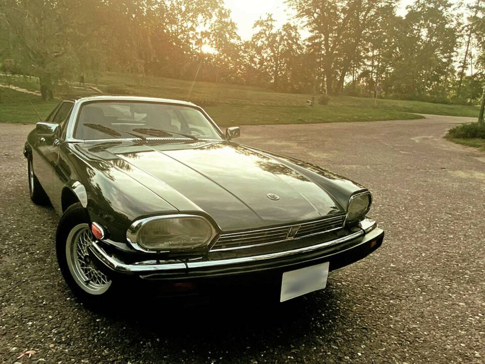 Image 5/8 de Jaguar XJ-S V12 (1989)