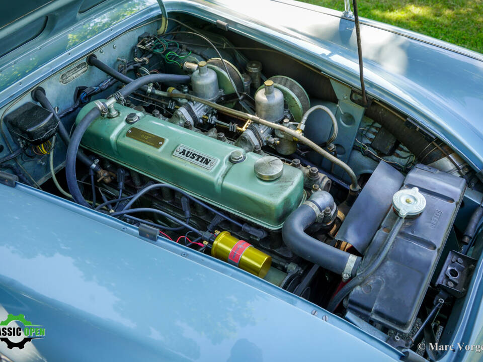 Image 16/51 of Austin-Healey 100&#x2F;6 (BN4) (1958)