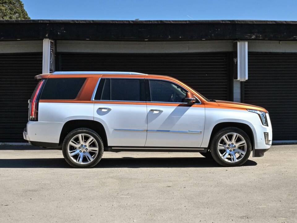 Bild 13/50 von Cadillac Escalade (2019)