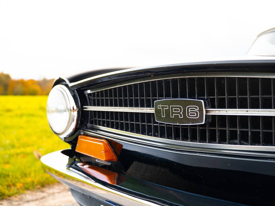 Immagine 10/36 di Triumph TR 6 (1974)