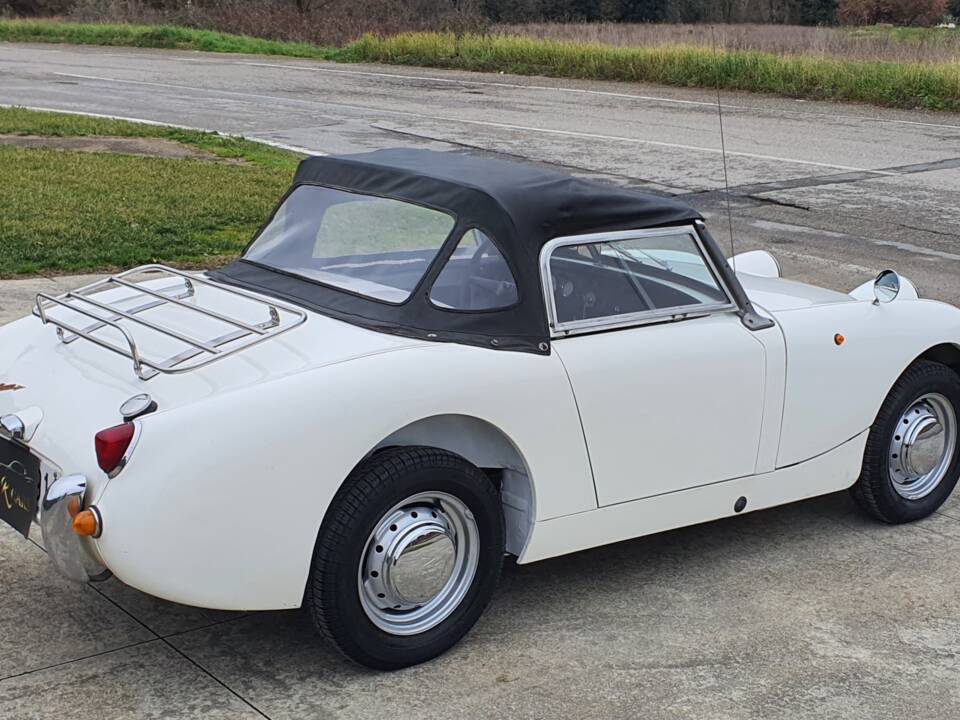 Image 5/30 of Austin-Healey Sprite Mk I (1961)