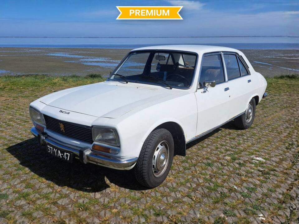 Image 1/8 de Peugeot 504 GL (1976)