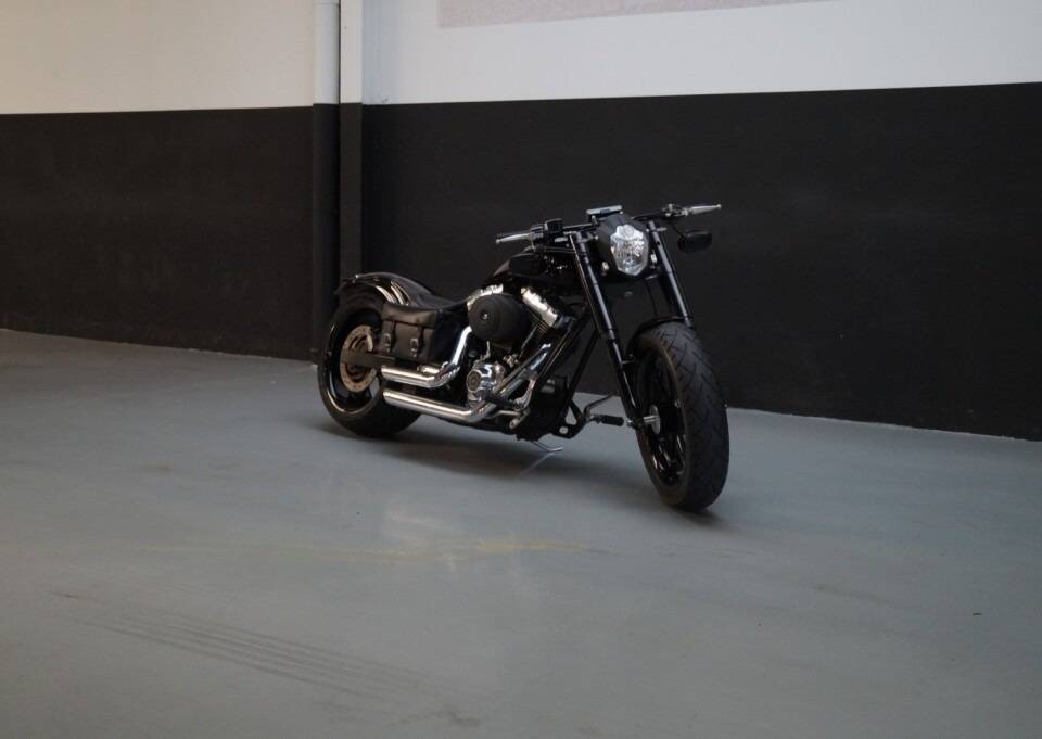 Immagine 22/50 di Harley-Davidson DUMMY (2008)