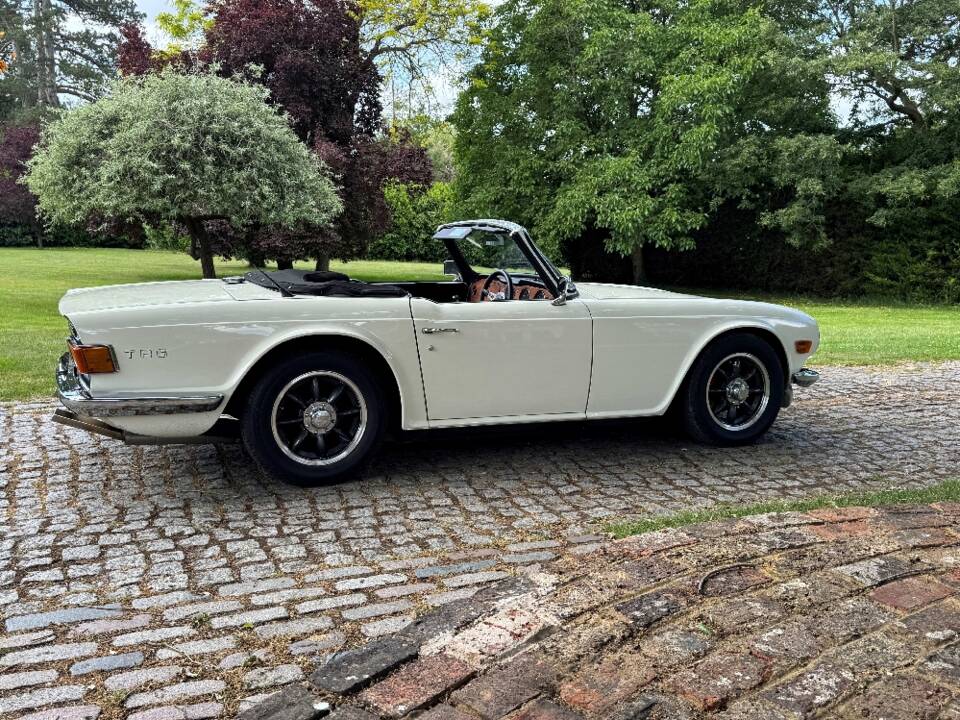 Image 12/30 of Triumph TR 6 PI (1970)