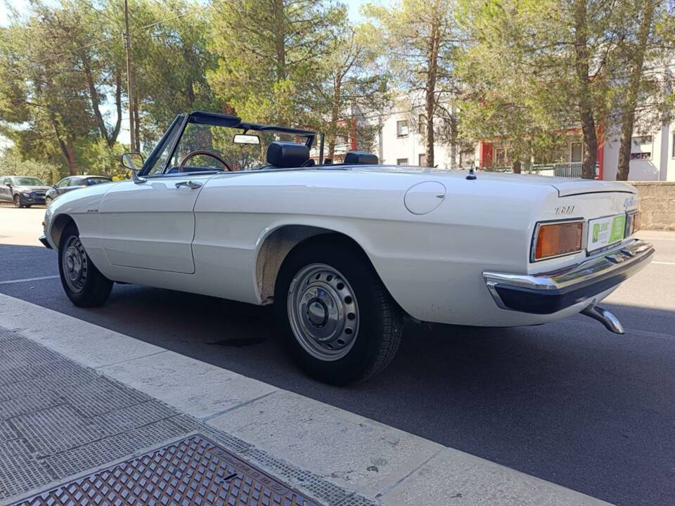 Bild 12/12 von Alfa Romeo Spider 1600 Junior (1975)