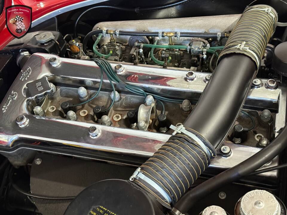 Bild 21/76 von Alfa Romeo 2600 Spider (1964)