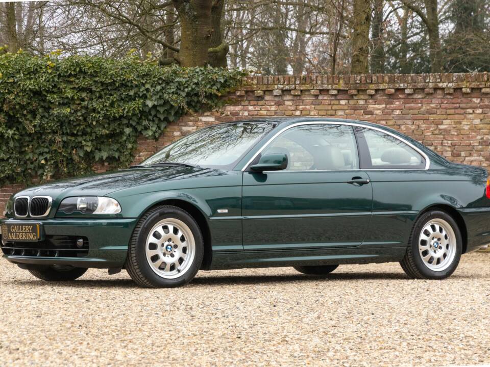 Bild 13/50 von BMW 323Ci (2001)