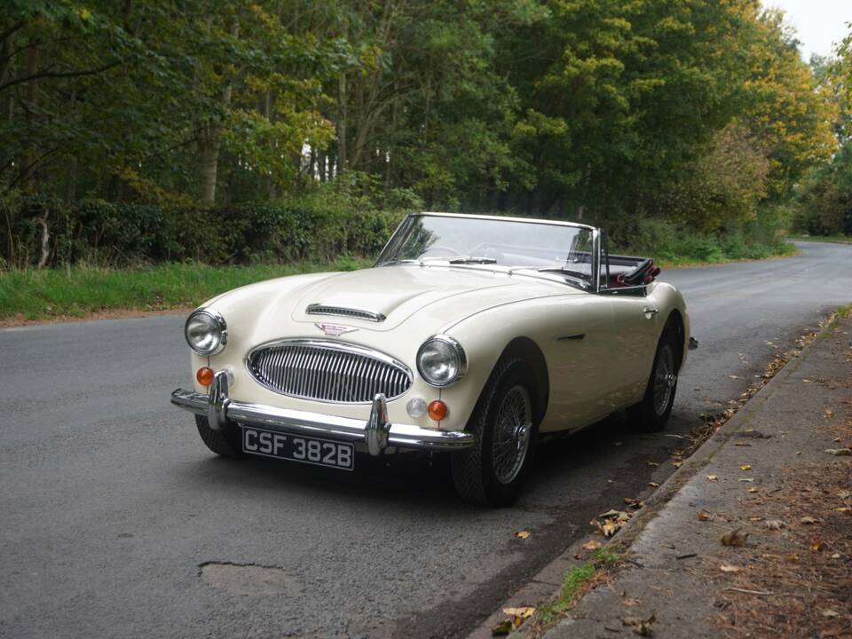 Immagine 3/25 di Austin-Healey 3000 Mk III (BJ8) (1964)