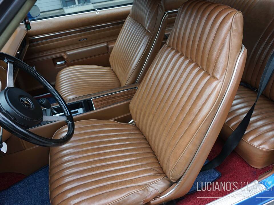 Afbeelding 43/58 van Pontiac GTO (1973)