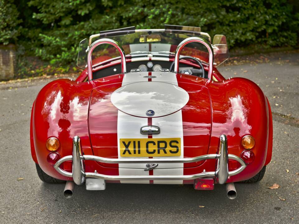 Image 13/50 de AC Cobra 289 (2000)