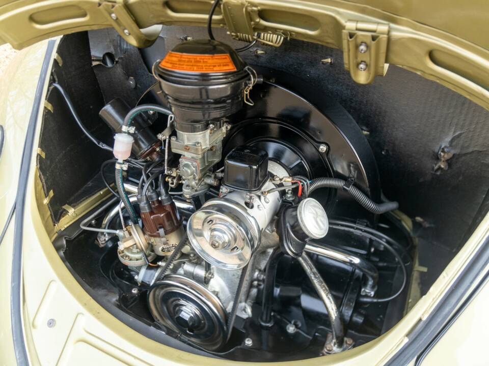 Bild 4/50 von Volkswagen Beetle 1200 Standard "Oval" (1956)