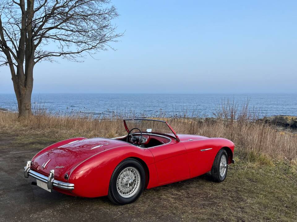 Immagine 4/21 di Austin-Healey 100/4 (BN1) (1954)