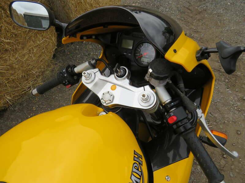 Image 9/40 of Triumph DUMMY (2006)