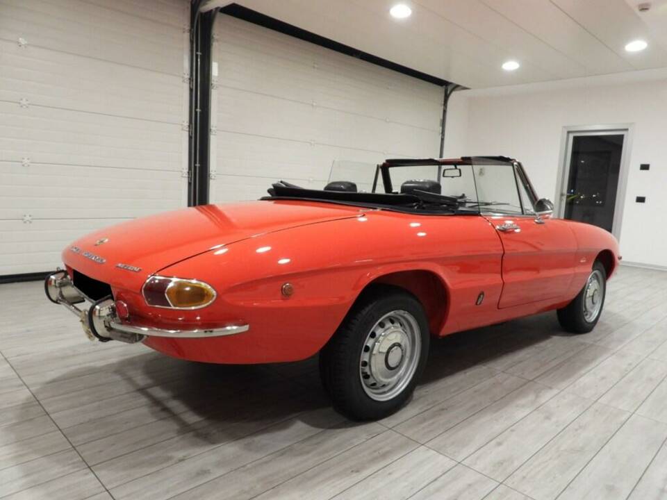 Image 4/15 of Alfa Romeo 1750 Spider Veloce (1969)