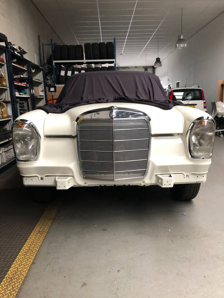 Image 61/64 of Mercedes-Benz 220 S b (1965)