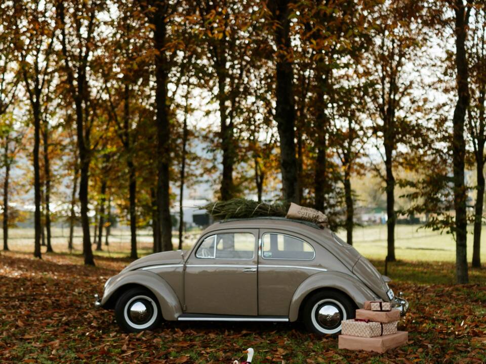 Immagine 23/56 di Volkswagen Maggiolino 1100 Standard "Ovali" (1954)