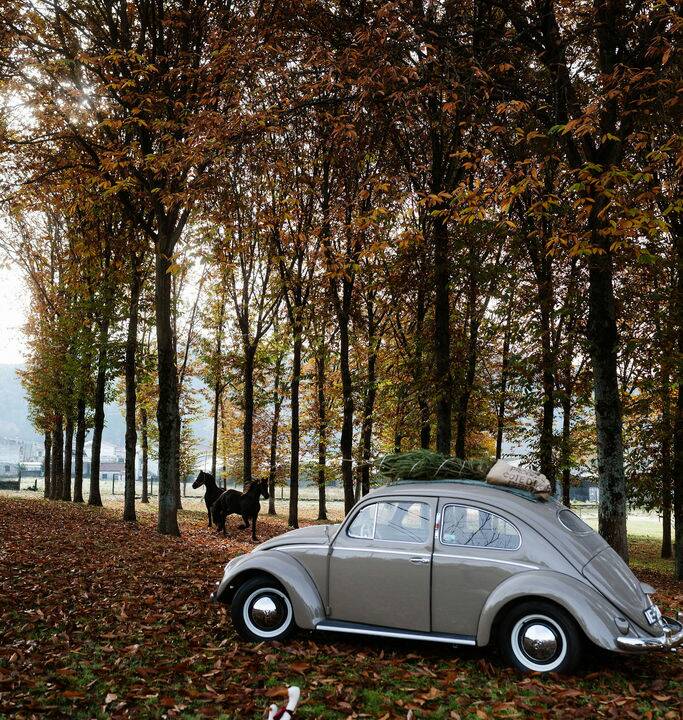 Image 8/8 of Volkswagen Coccinelle 1200 Standard "Oval" (1954)