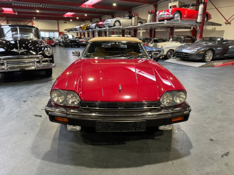 Bild 11/62 von Jaguar XJ-S Convertible (1988)