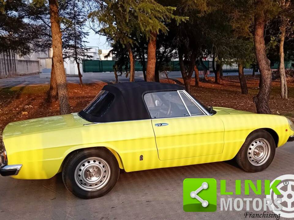 Bild 3/10 von Alfa Romeo 2000 Spider Veloce (1975)