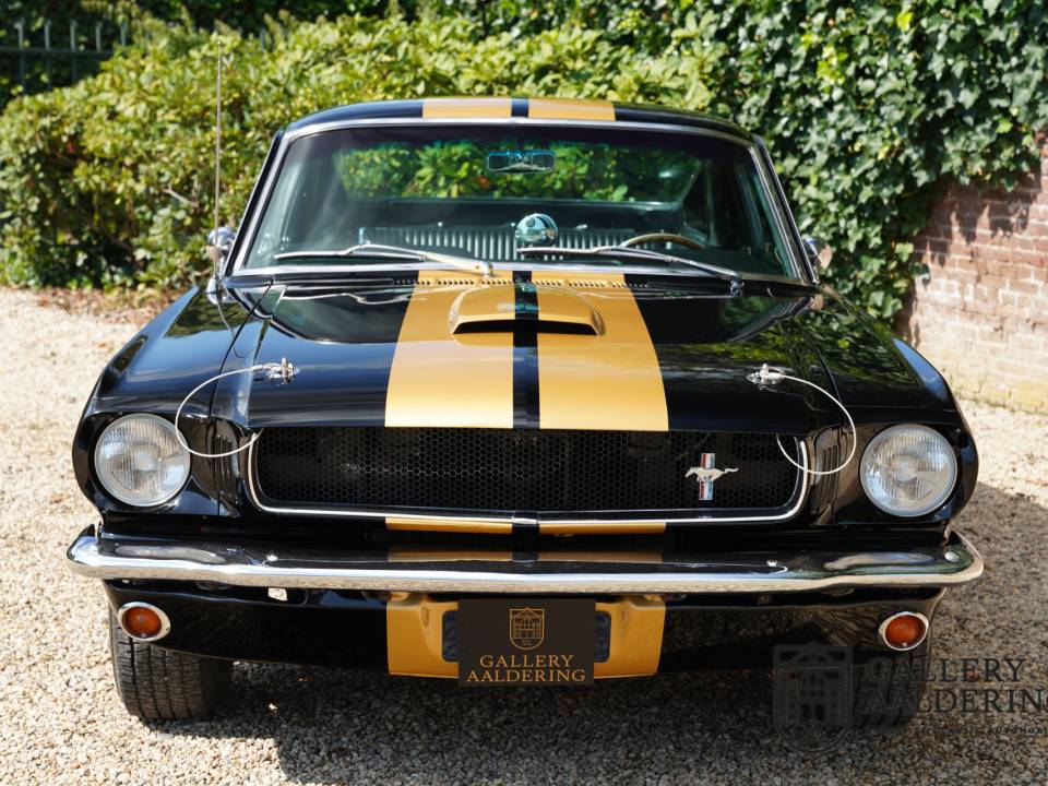 Image 10/50 of Ford Shelby GT 350 (1965)