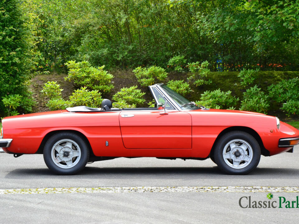 Image 17/50 of Alfa Romeo 2000 Spider Veloce (1981)