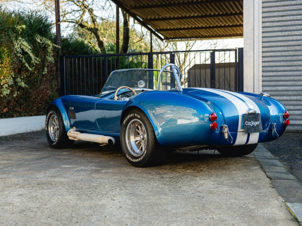 Image 2/68 of Shelby Cobra 289 (1966)