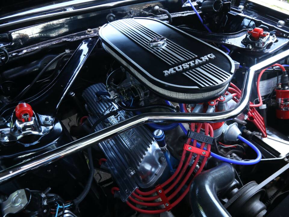 Image 36/50 of Ford Mustang 302 (1969)
