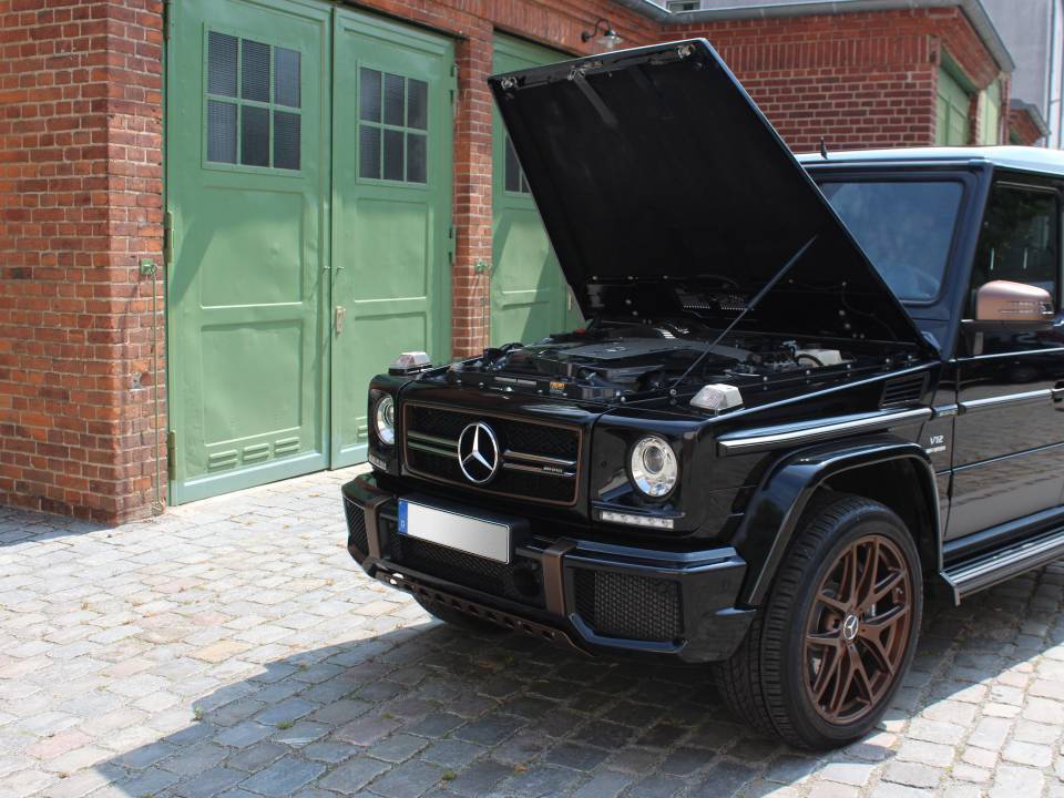 Image 17/21 of Mercedes-Benz G 65 AMG &quot;Final Edition&quot; (2018)