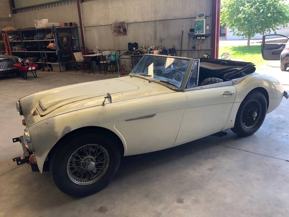 Bild 1/15 von Austin-Healey 3000 Mk III (BJ8) (1965)