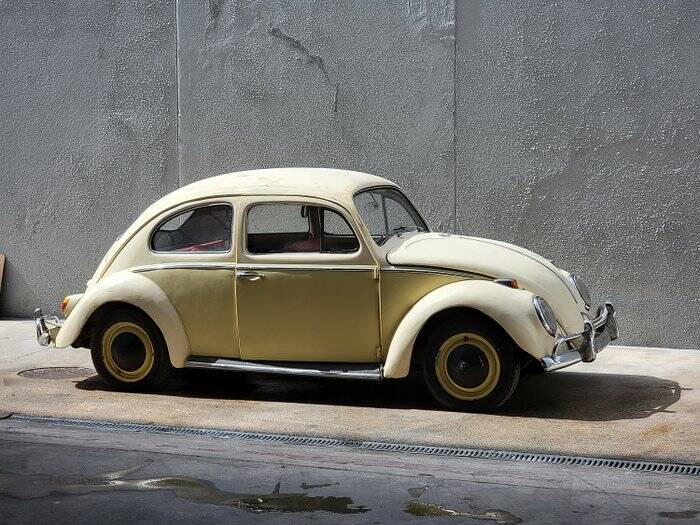 Image 3/7 de Volkswagen Coccinelle 1200 Standard &quot;Dickholmer&quot; (1964)