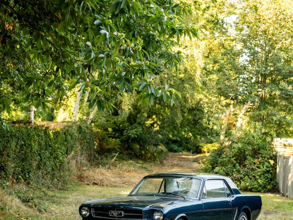 Imagen 7/50 de Ford Mustang III (1965)