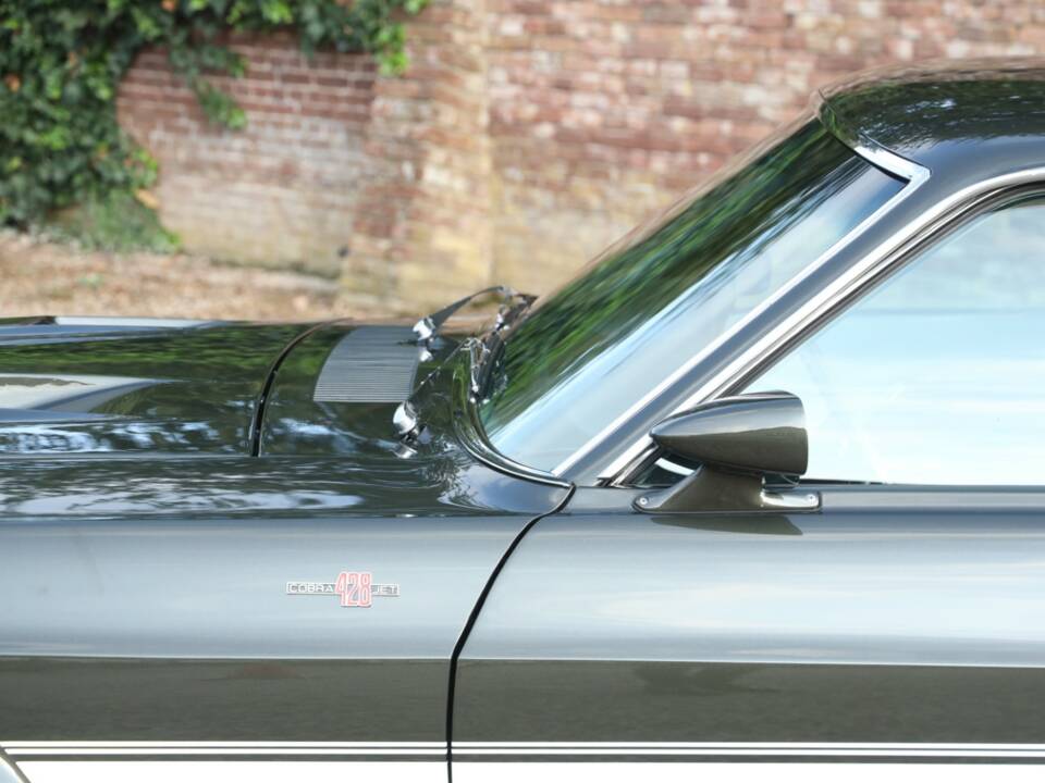 Image 19/50 of Ford Shelby GT 500 (1969)