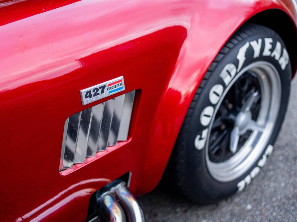 Afbeelding 35/50 van AC Cobra 289 (2000)