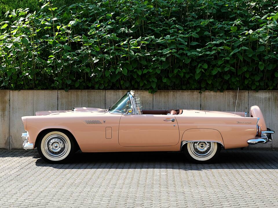 Immagine 6/64 di Ford Thunderbird (1956)