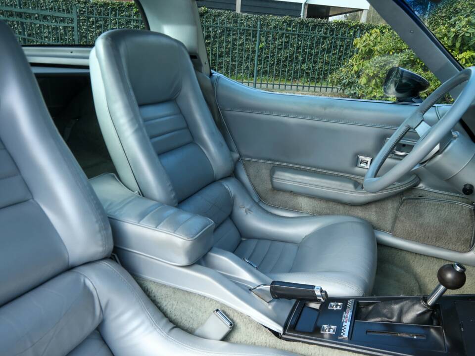 Image 44/50 of Chevrolet Corvette Indy Pace Car (1978)