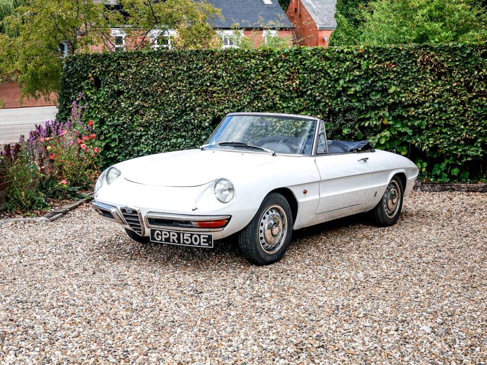 Immagine 18/35 di Alfa Romeo 1600 Spider Duetto (1967)