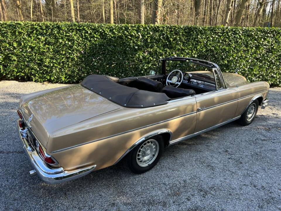Image 9/22 of Mercedes-Benz 220 SE b (1963)