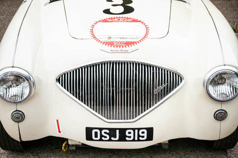 Immagine 42/44 di Austin-Healey 100&#x2F;4 (BN1) (1955)