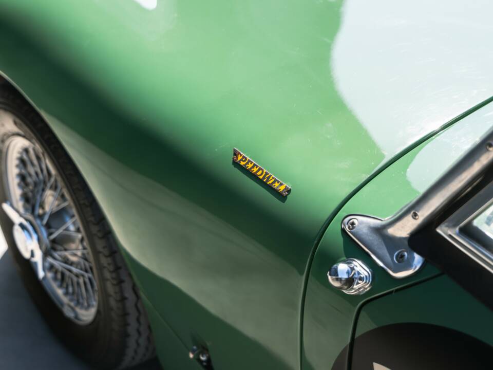 Image 34/50 of Austin-Healey Sprinzel Sebring Sprite (1958)